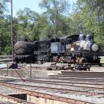 IMG_7910 (May 28, 2024)